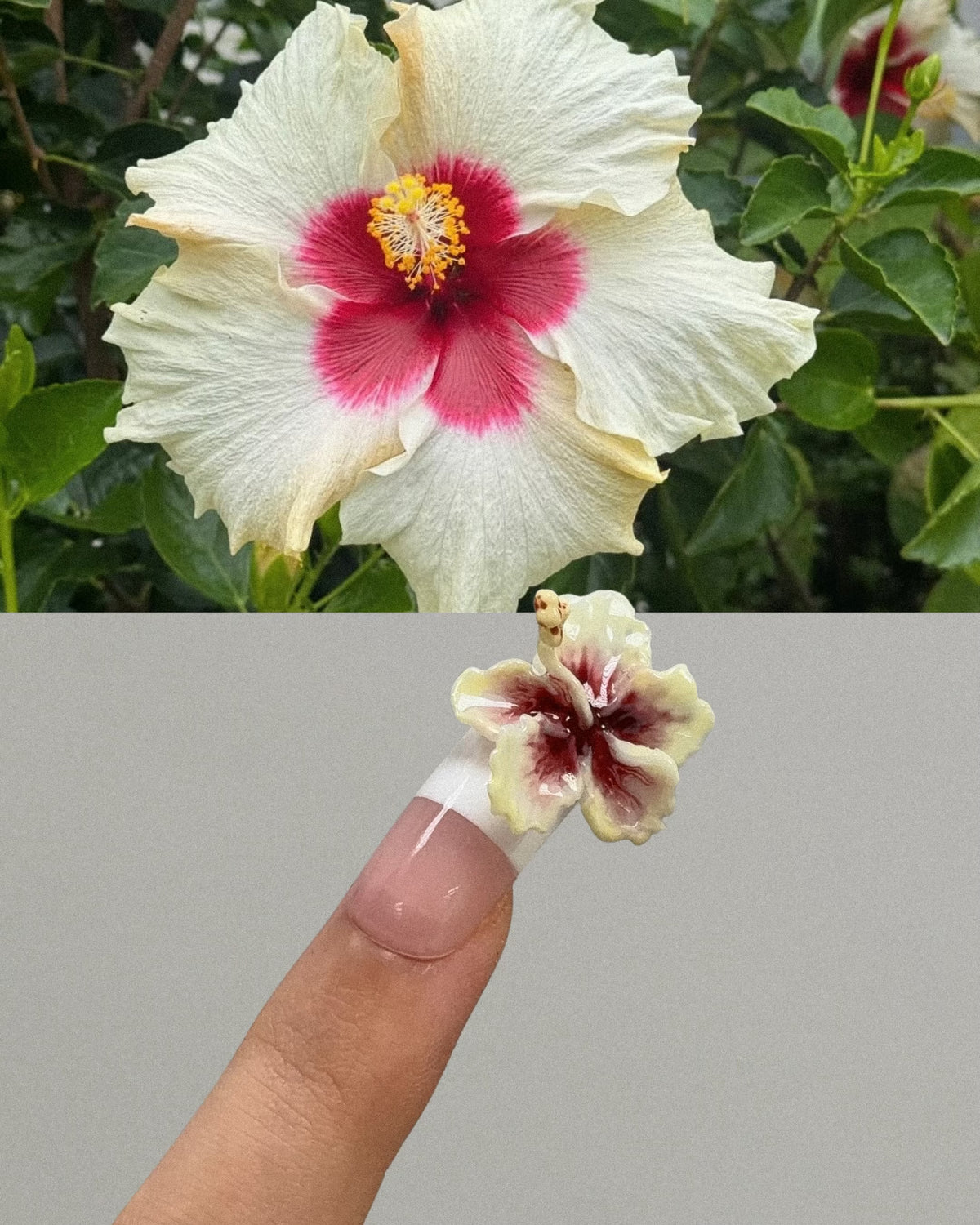 PETAL STUDY