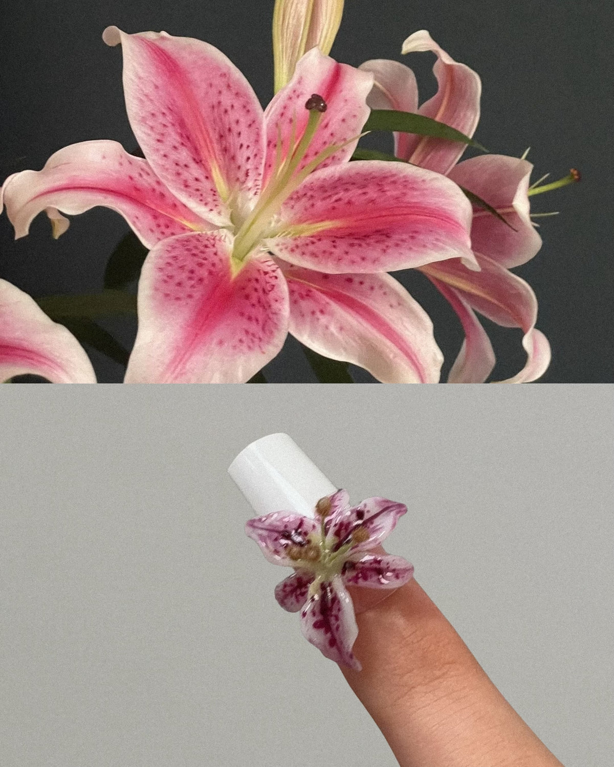 PETAL STUDY